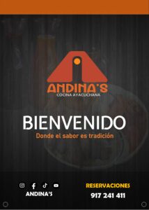 carta digital andinas brand page 0001